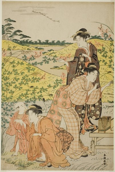 A Picnic Party